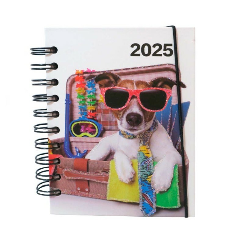 AGENDA 2025 DOG FERIAS 168 FOLHAS # AG25034