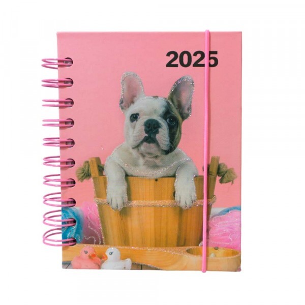 AGENDA 2025 DOG NO BALDE 168 FOLHAS # AG25034