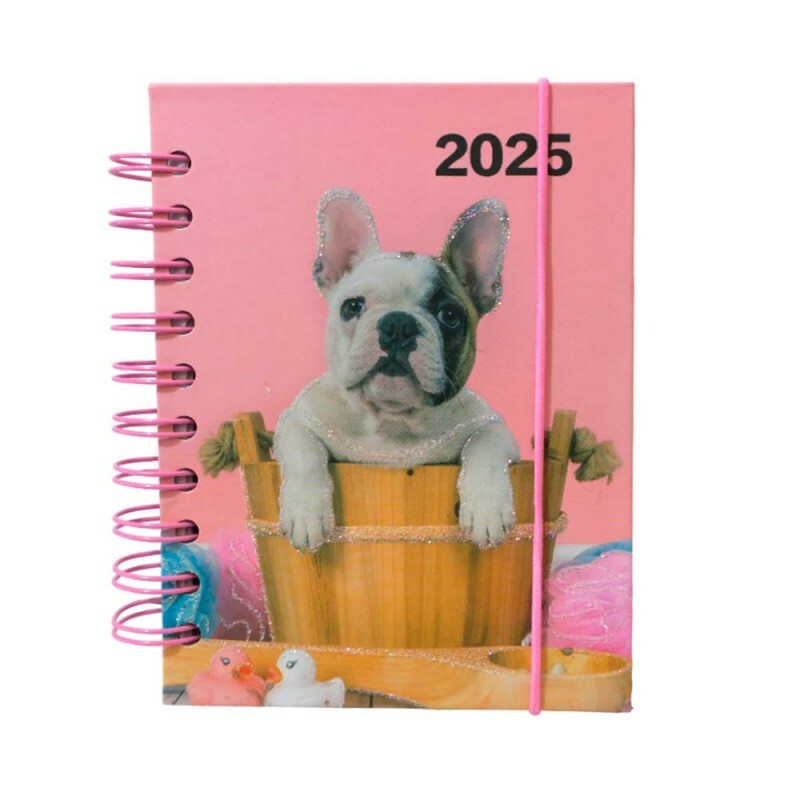 AGENDA 2025 DOG NO BALDE 168 FOLHAS # AG25035