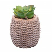 CACHEPOT C/SUCULENTA SISAL 7.5X10.56CM # 61607