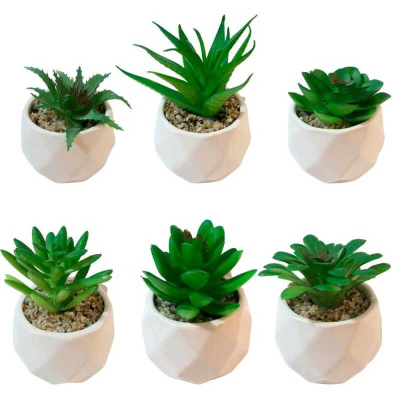 VASO C/PLANTA 5X8CM # VAS0021