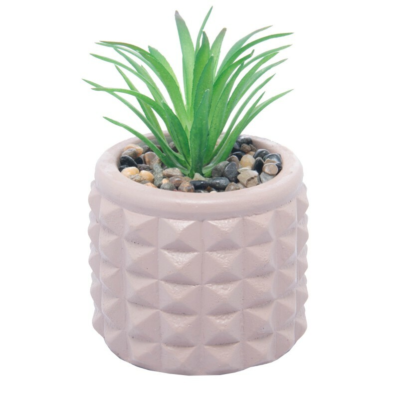 CACHEPOT C/SUCULENTA SPIKES 7.5X11CM # 61574